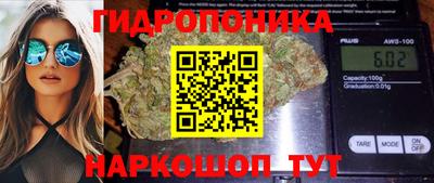 apvp Сланцы