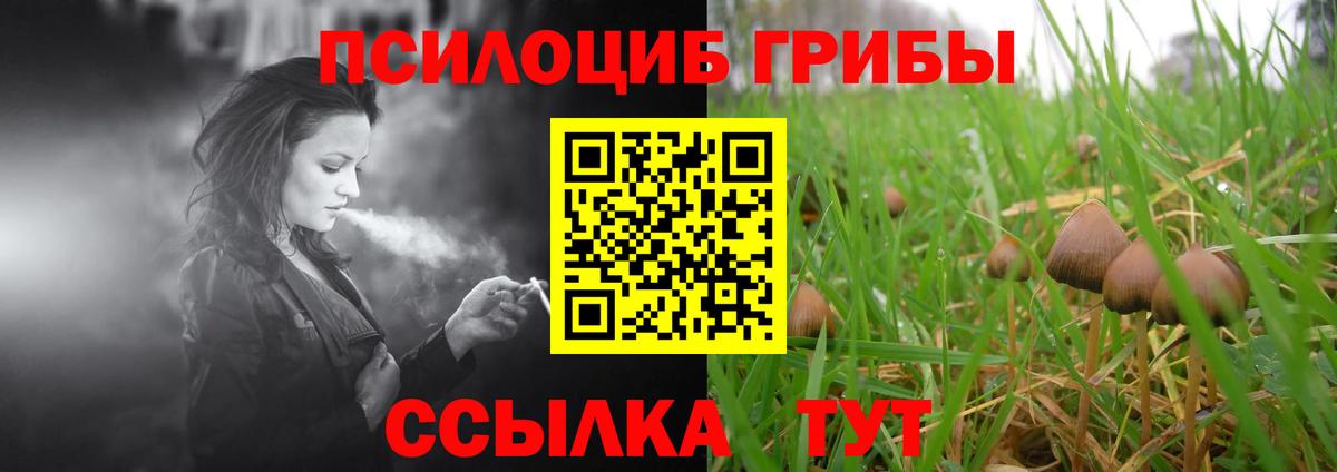 Галлюциногенные грибы прущие грибы Прохладный
