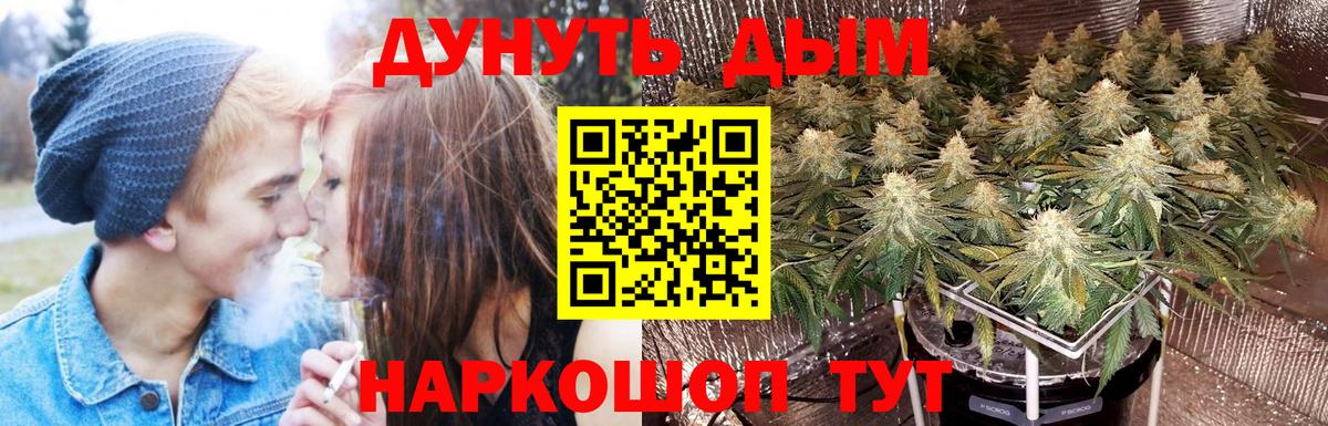 Марихуана ГИДРОПОН Прохладный
